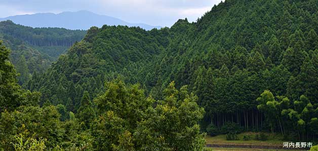 二上山